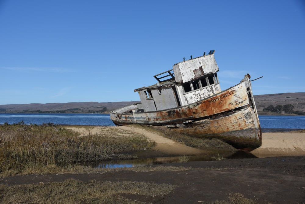 January One Photo Focus copy