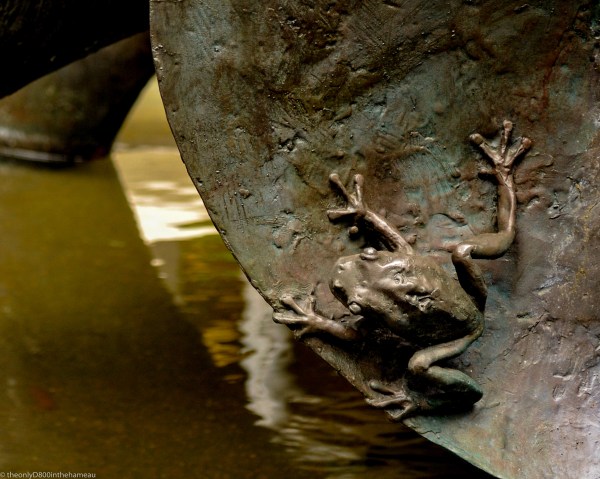 frog